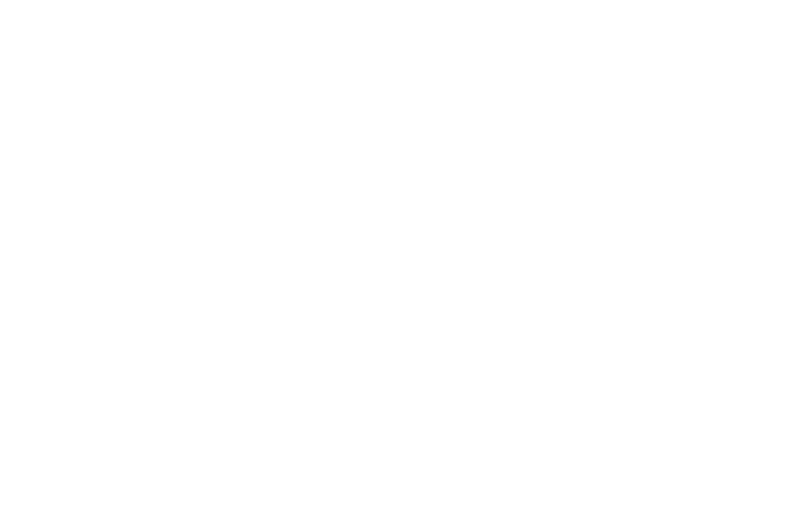 Salemme Consulting